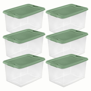 Heritage Living - Storage Bins with Lids - Small, Set of 2 - Clear ( )