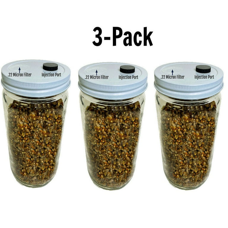 Generic Mini Seasoning Bottle Empty Honey Bottles Storage 4 Pcs