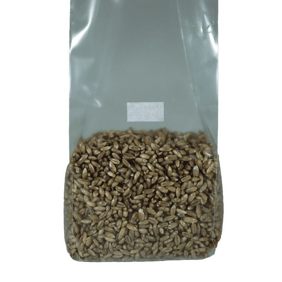 Sterilized Rye Berry Mushroom Substrate Bag: 1 Bag