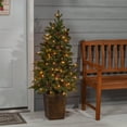 thumbnail image 1 of Sterling Charming 4 Foot Potted Natural Cut Georgia Pine, 1 of 5