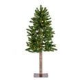 thumbnail image 1 of Sterling Charming 4 Foot Prelit Alpine Tree with Dual Color LED Lights, 1 of 4