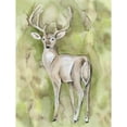 thumbnail image 1 of Sterling Deer Poster Print by  Pam Varacek  (11 x 14), 1 of 2