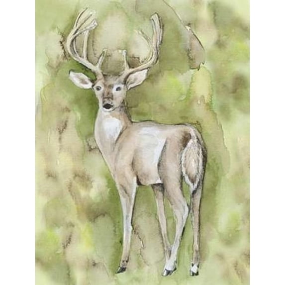 Sterling Deer Poster Print by Pam Varacek (11 x 14)