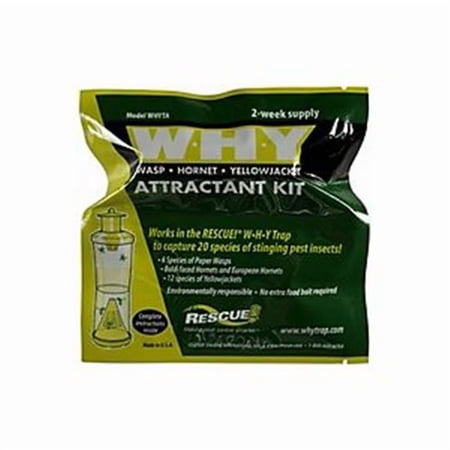 Sterling International WHYTA-DB6 Trap Attractant Reusable Display