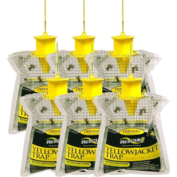 Sterling Rescue Disposable Yellowjacket Trap, Non-Toxic, Outdoor, 6 Pack