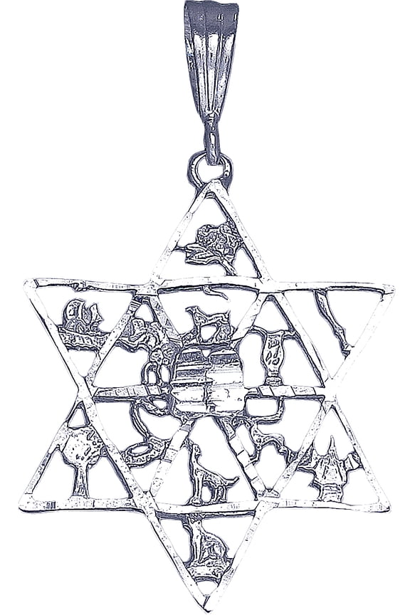 Sterling Silver 12 Tribes of Israel Charm Star of David Pendant Necklace 18" Chain
