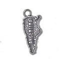 thumbnail image 1 of Sterling Silver 24" 1.2mm Box Chain Map Country Of Argentina Pendant Necklace, 1 of 2