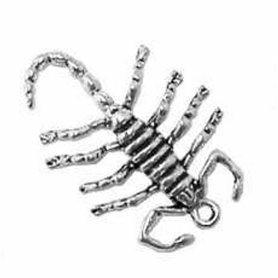 Sterling Silver 7" 4.5mm Charm Bracelet With Attached 3D Medium Scorpion Insect Charm