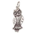 thumbnail image 1 of Sterling Silver 7" 4.5mm Charm Bracelet With Attached Hoot Owl Bird Charm, 1 of 1