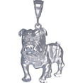 thumbnail image 1 of Sterling Silver Bulldog Charm Pendant Necklace with Diamond Cut Finish and 24 Inch Figaro Chain, 1 of 2