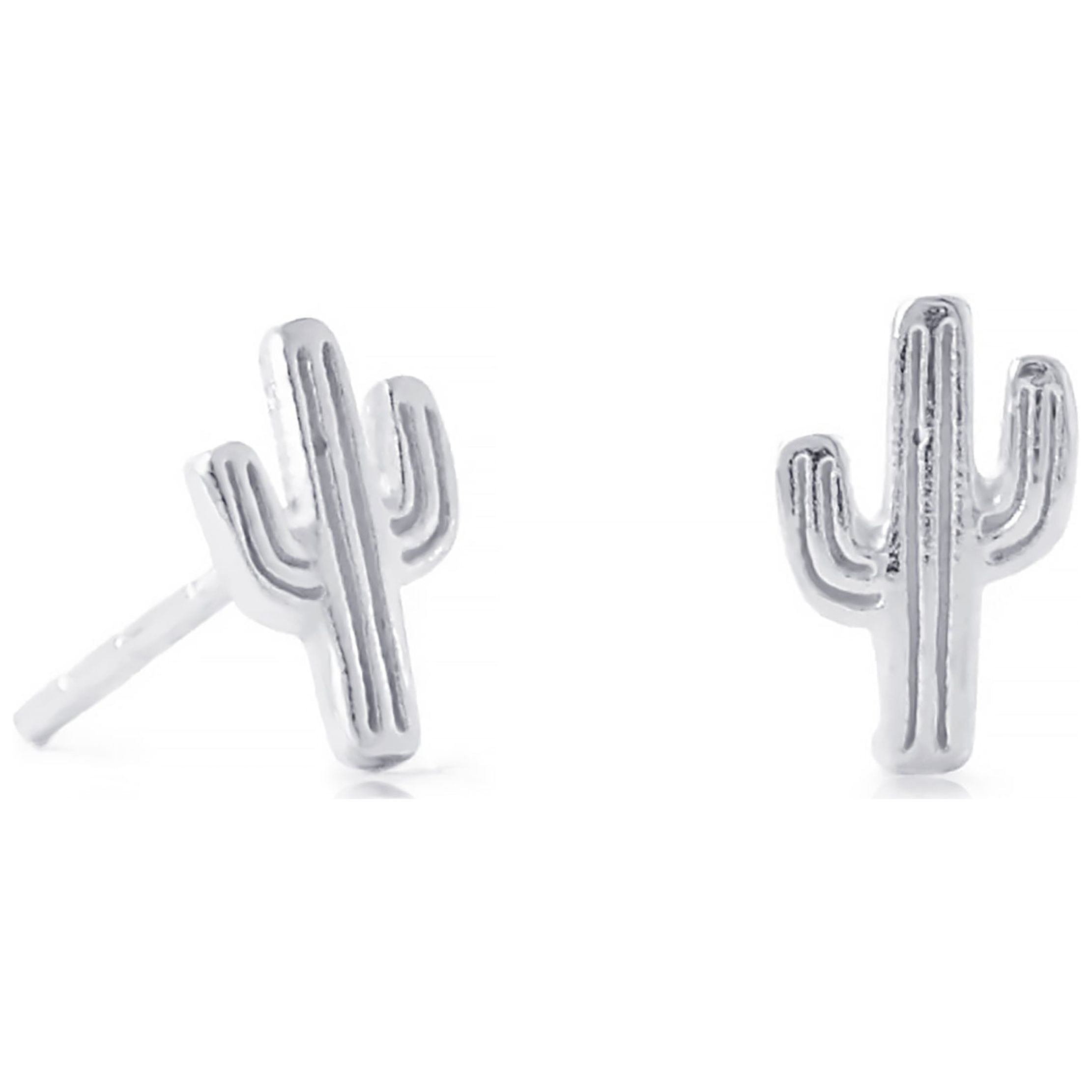Cactus and Turquoise Stud Earrings Set