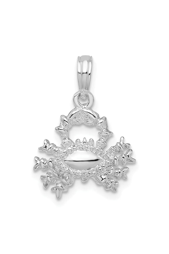 Sterling Silver Crab Pendant Necklace for Women or Unisex, Zodiac Cancer Jewelry with Ocean Symbol, Astrology Talisman for Resilience, Protective Sea-Inspired Charm