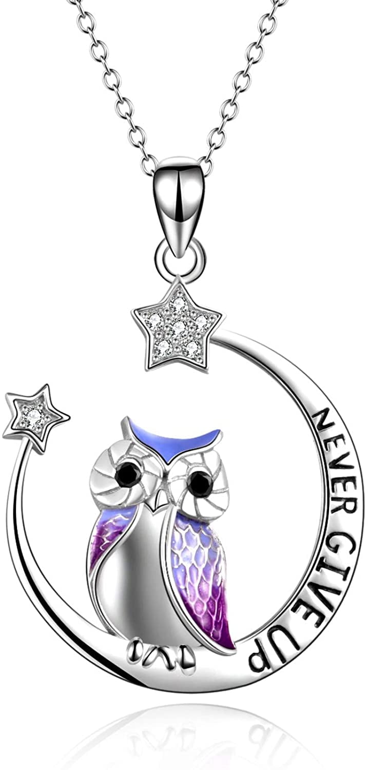 "Sterling Silver Inspirational Owl Necklace Never Give Up Owl Jewelry