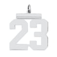 thumbnail image 1 of Sterling Silver Polished Number 23 Charm Pendant, 1 of 1