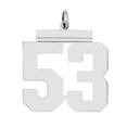 thumbnail image 1 of Sterling Silver/Rhodium-plated Polished Number 53 Charm QPL53, 1 of 2