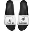 thumbnail image 1 of Panther Slides, 1 of 6