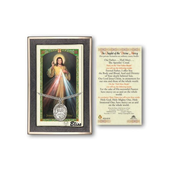 Sterling Silver Scapular medal on an 24 inch Heavy Curb Chain with a ...