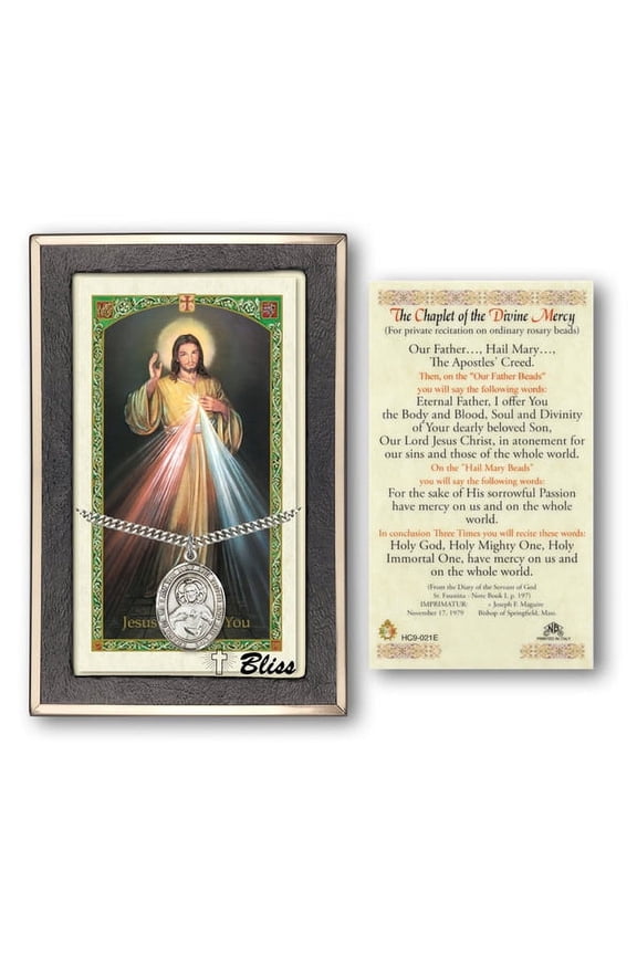 Sterling Silver Scapular medal on an 24 inch Heavy Curb Chain with a The Chaplet of the Divine Mercy Prayer Card.