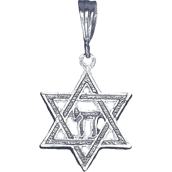 Sterling Silver Star of David with Chai Symbol Pendant Necklace with 18 Inch Rolo Chain
