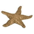 thumbnail image 1 of Sterling Table Top Starfish, 1 of 2