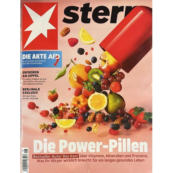 Stern Magazine Issue 8