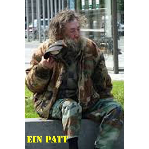 Sternenzigeuner Ein Patt, Book 116, (Paperback)