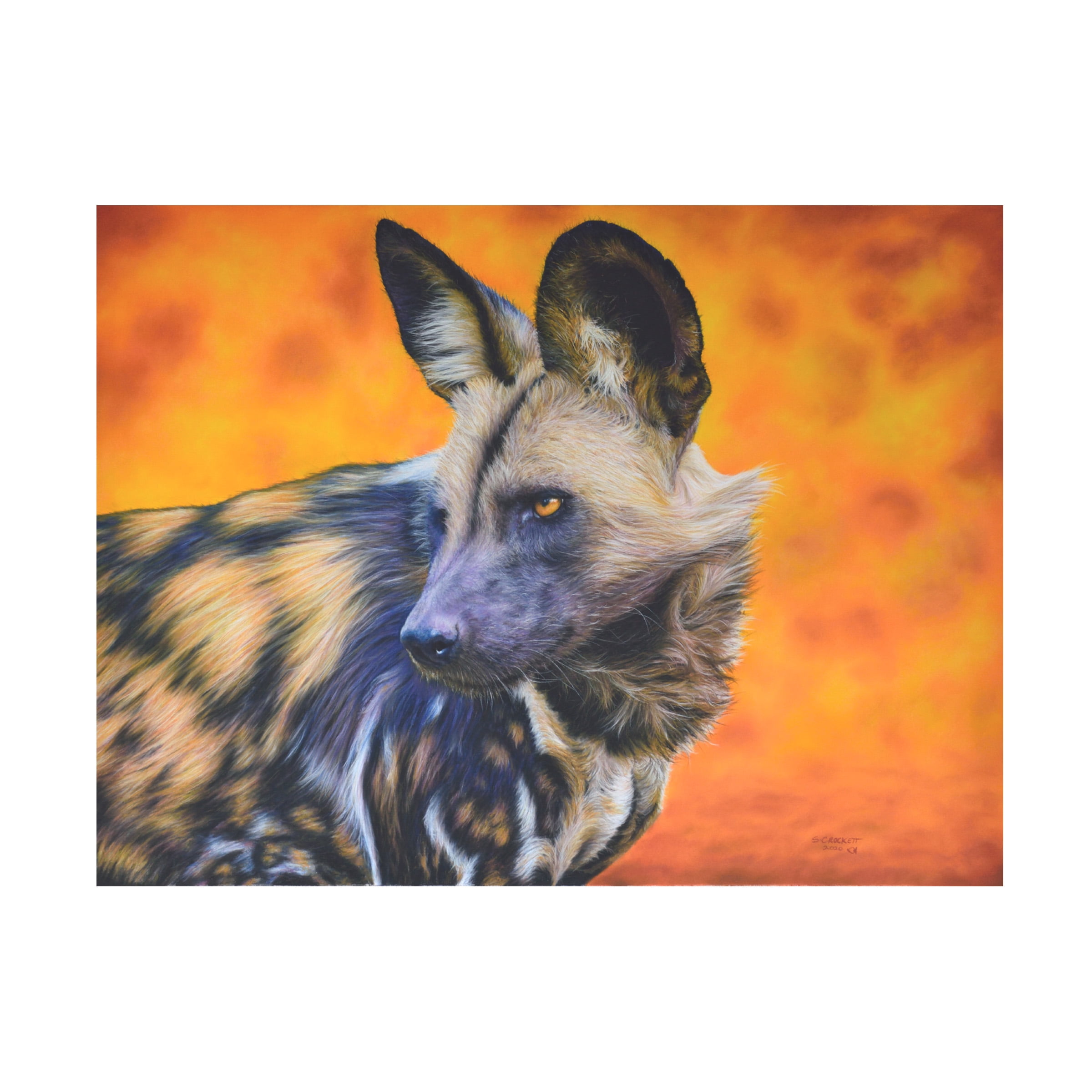 Dog Canvas Art Dog Canvas Art