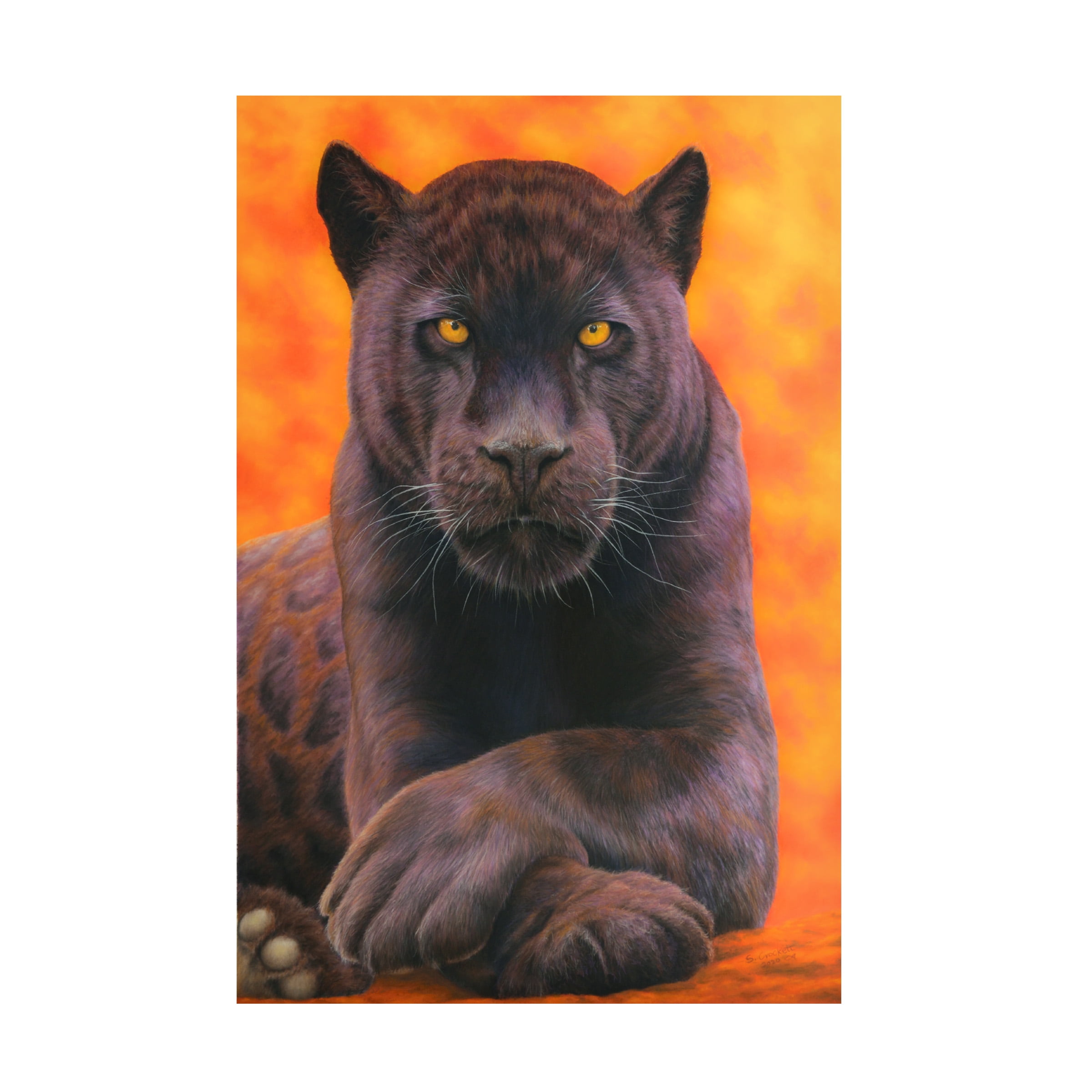 Steve Crockett 'Black Jaguar' Canvas Art