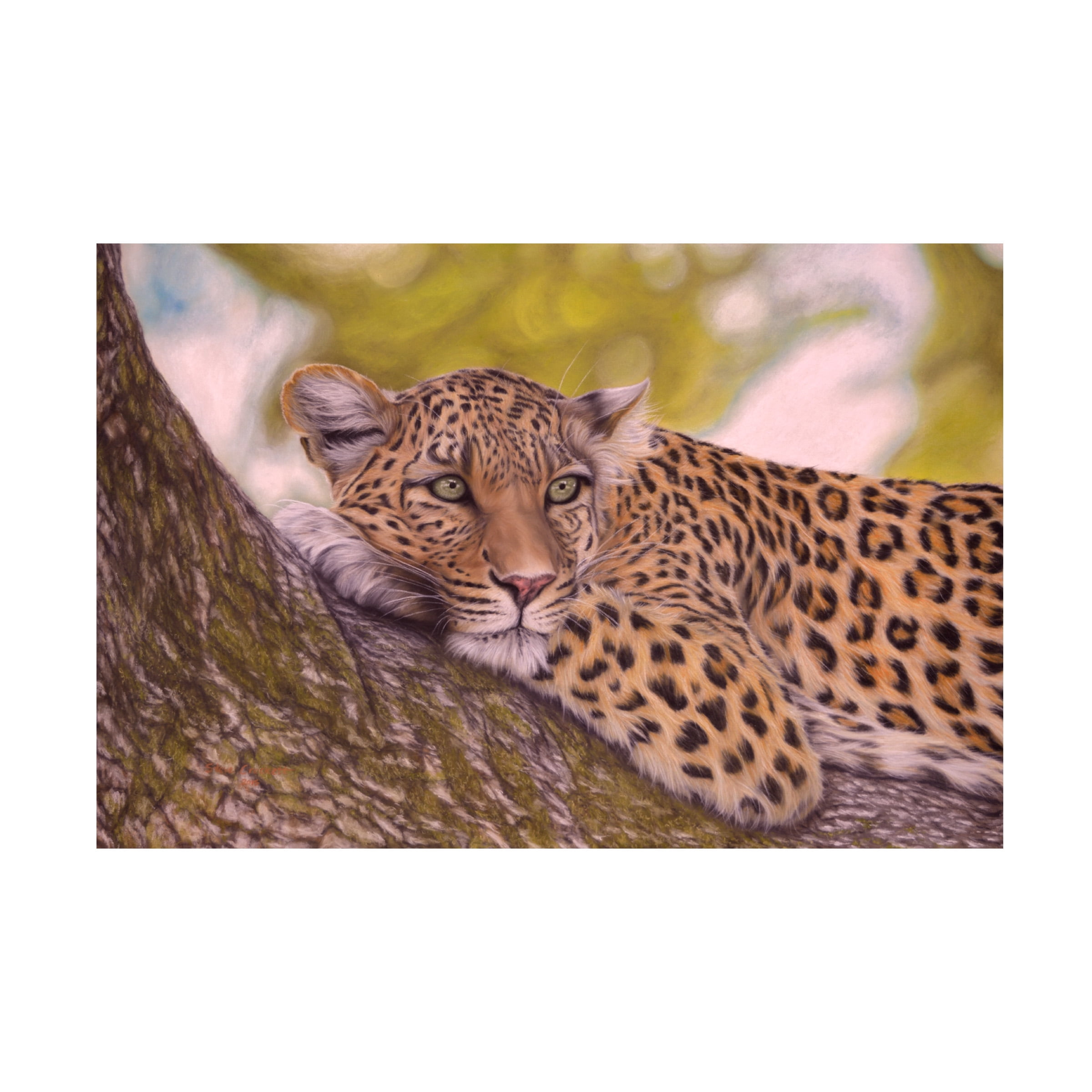 Relaxing Leopard Tan and Brown Canvas Art 12" x 19"