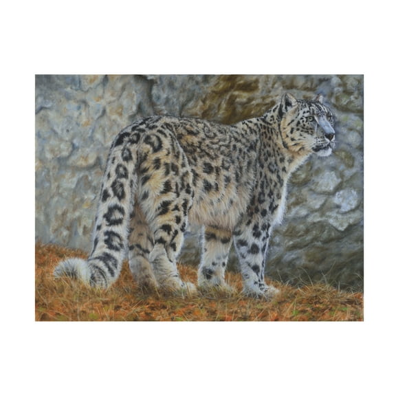 Steve Crockett 'Snow Leopard' Canvas Art