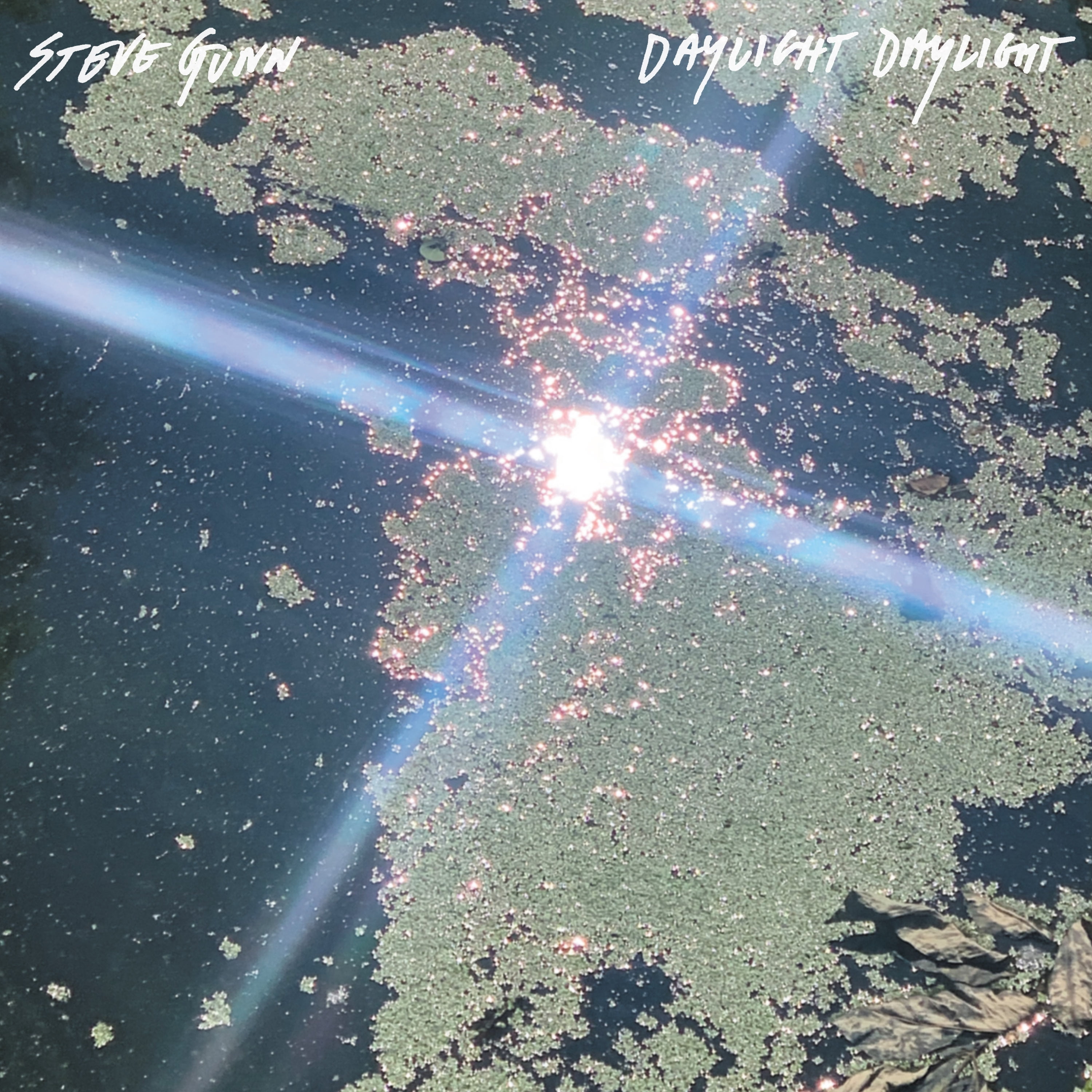 Steve Gunn - Daylight Daylight - Music & Performance - Vinyl