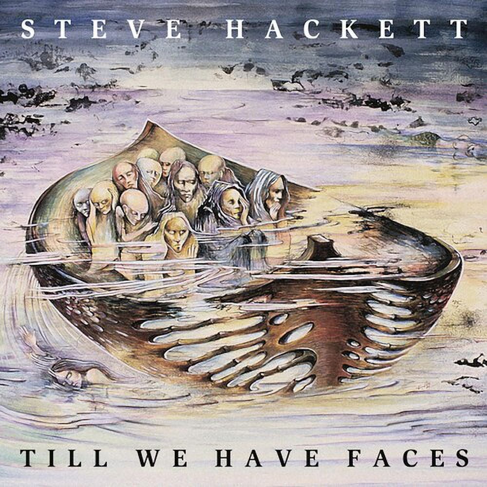 Steve Hackett All Vinyl Records in Vinyl Records - Walmart.com