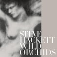 thumbnail image 1 of Steve Hackett - Wild Orchids - Music & Performance - Vinyl, 1 of 1
