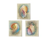 Steve Hunziker Aquatica Canvas Art Set of 3