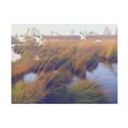thumbnail image 1 of Steve Hunziker 'Marshland Hues II' Canvas Art, 1 of 4