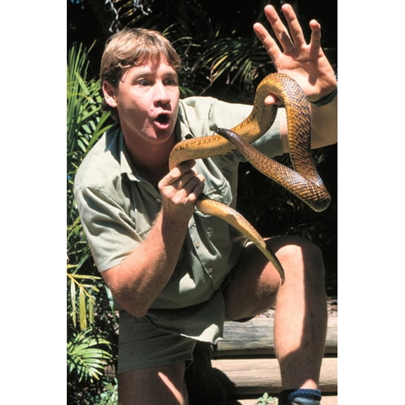 Steve Irwin holding snake 24x36 Poster
