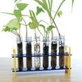 thumbnail image 1 of Steve Spangler Science STEM Botany Activity Kit - Diggin' Science, 1 of 13