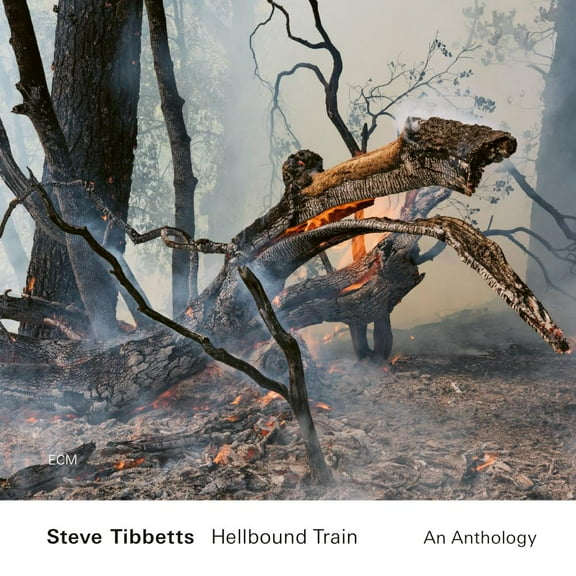 Steve Tibbetts - Hellbound Train: An Anthology (2 CD) - CD