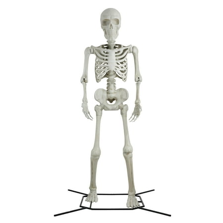 Steve the Poseable 10' Skeleton Decoration by Way To Celebrate