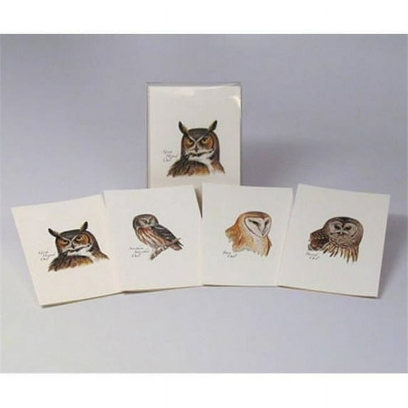 Steven M. Lewers & Associates LEWERSNC41 Peterson's Owls Notecard Assortment (2 each of 4 styles)