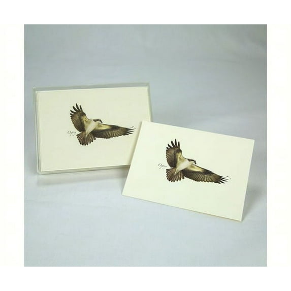 Steven M. Lewers Earth Sky Water LEWERSNC122 Osprey (Boxed Notes)