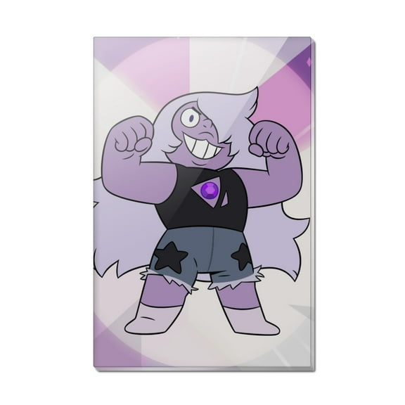 Steven Universe Amethyst Rectangle Acrylic Fridge Refrigerator Magnet