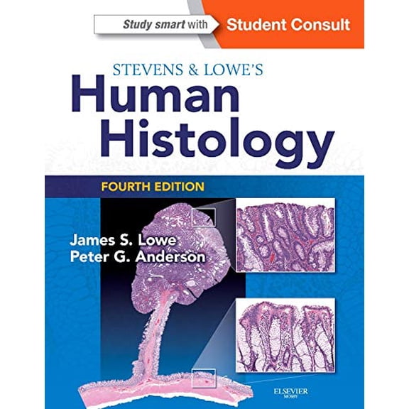 Pre-Owned Stevens & Lowe's Human Histology (HUMAN HISTOLOGY (STEVENS)) (Paperback) 0723435022 9780723435020