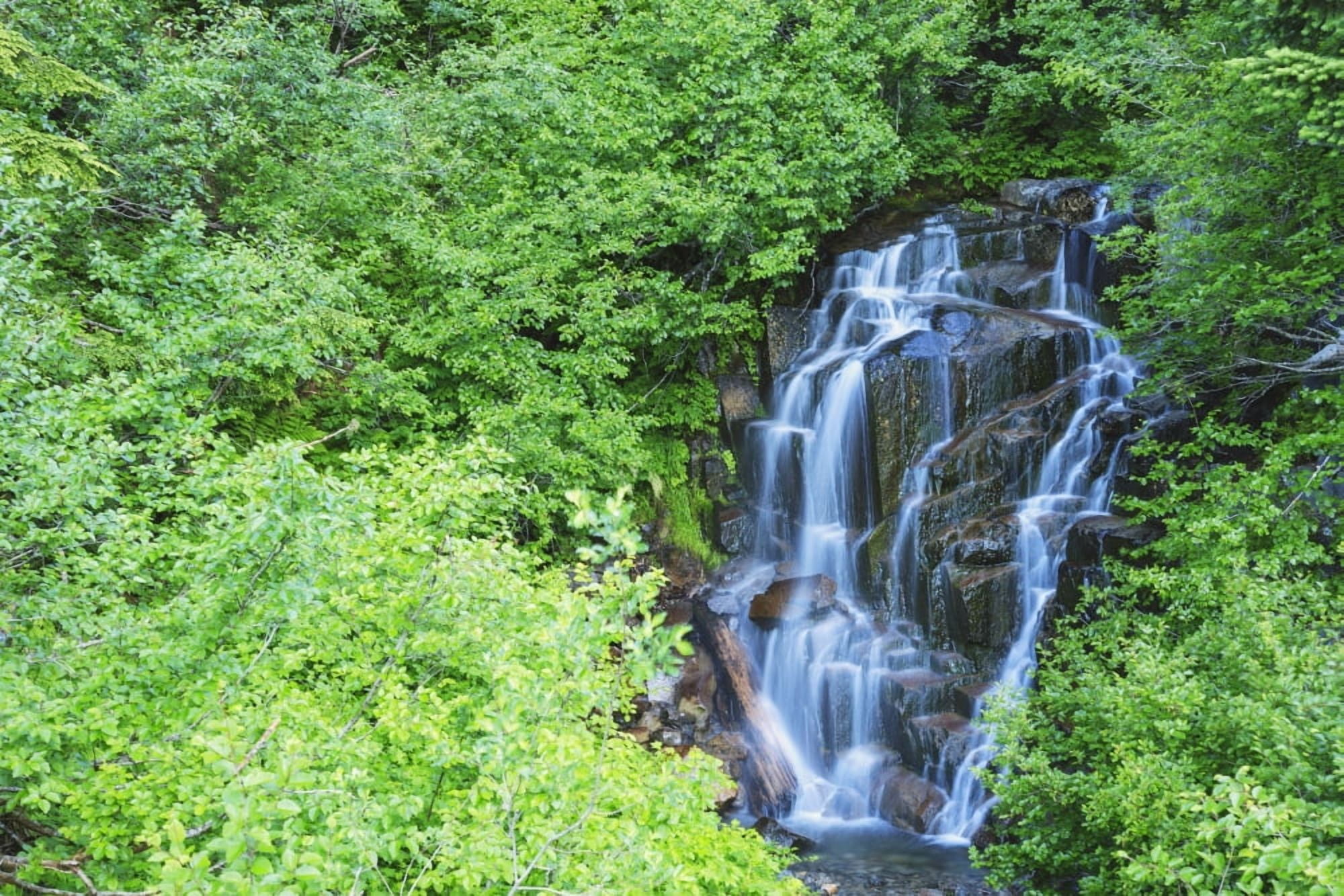 Stevens creek waterfall mount rainer national park near seattleWashington united states of america Canvas Art - Stuart Westmorland Design Pics (38 x 24)