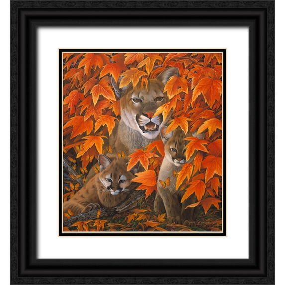 Stevenson, Graeme 12x13 Black Ornate Wood Framed with Double Matting Museum Art Print Titled - Mountain Colors