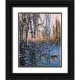thumbnail image 1 of Stevenson, Graeme 12x14 Black Ornate Wood Framed with Double Matting Museum Art Print Titled - Lupus Dawn, 1 of 4