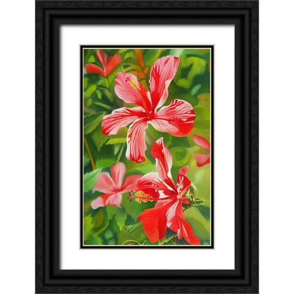 Stevenson, Graeme 17x24 Black Ornate Wood Framed with Double Matting Museum Art Print Titled - Red Hibiscus 3