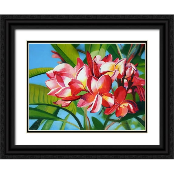 Stevenson, Graeme 18x14 Black Ornate Wood Framed with Double Matting Museum Art Print Titled - Frangipani Days