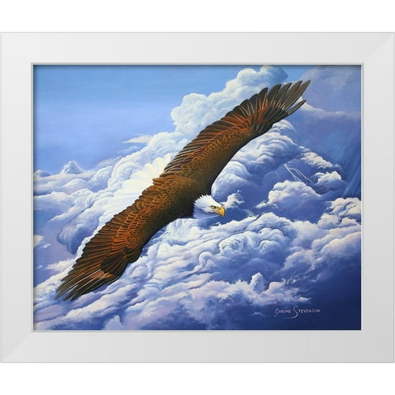 Stevenson, Graeme 18x15 White Modern Wood Framed Museum Art Print Titled - Lifted To The Sky