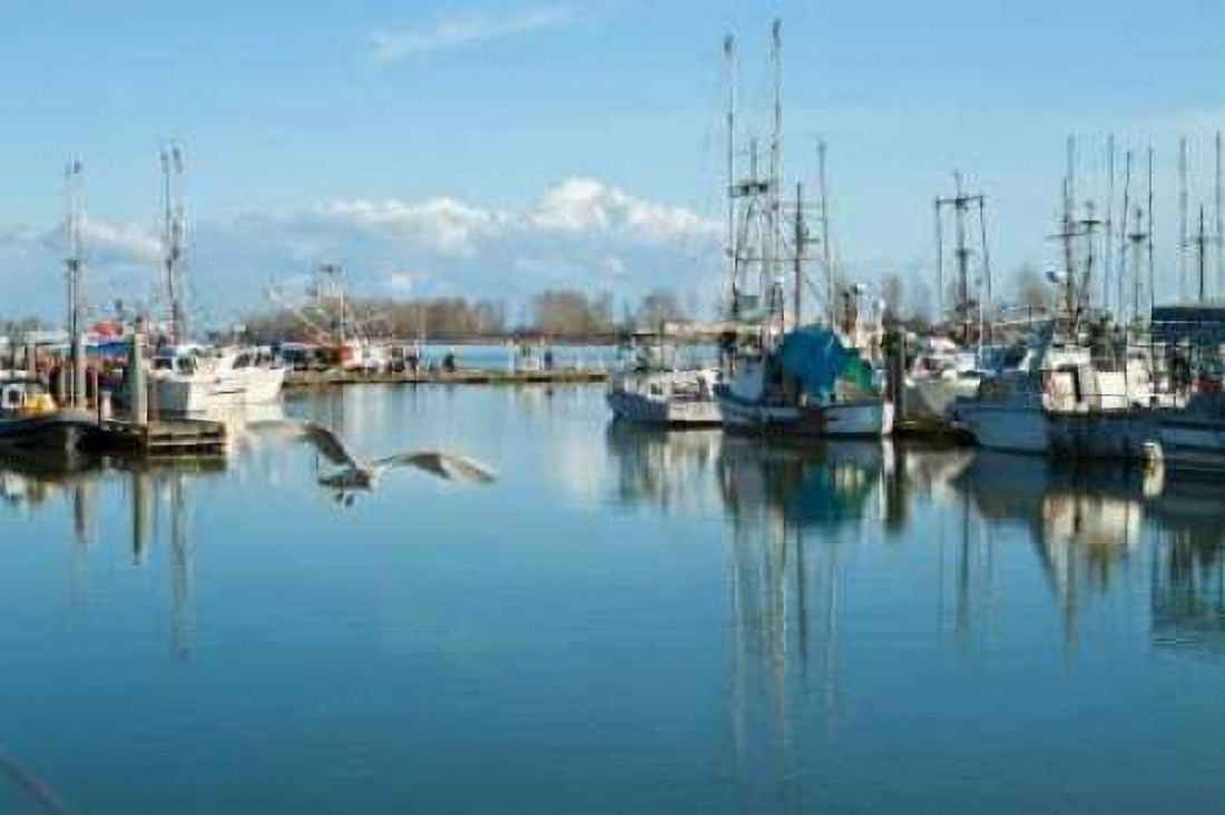 Steveston Scenic II Canvas Art - Dana Styber (12 x 18)